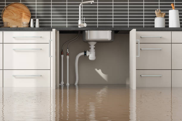 Best Water damage cleanup near me  in USA